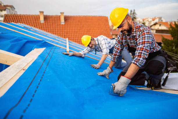 Roof Coating Services in St Anthony, ID